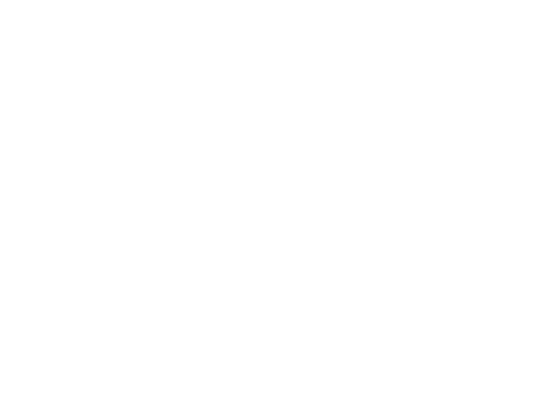 https://luminexcleaning.nl/